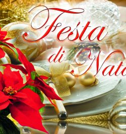 DECORAZIONI NATALE