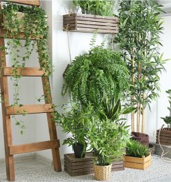 Piante artificiali