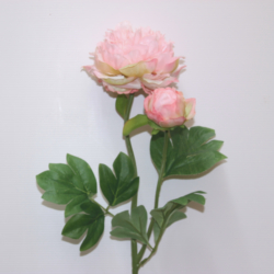 Fiori a stelo